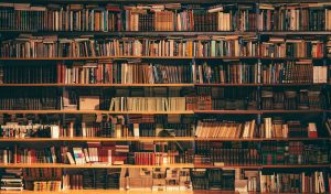 Read more about the article The Evolution of Book Publishing: From Traditional to Digital