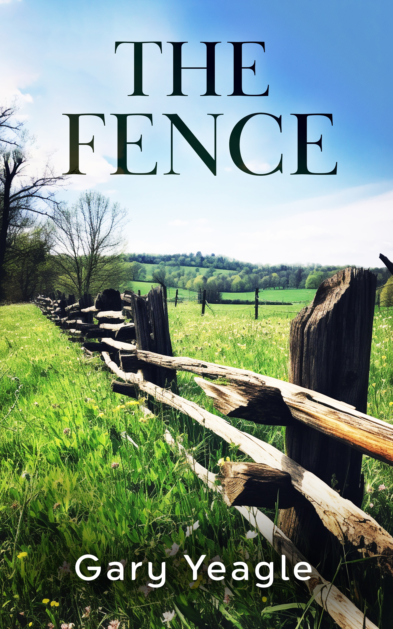 The-Fence-1.jpg